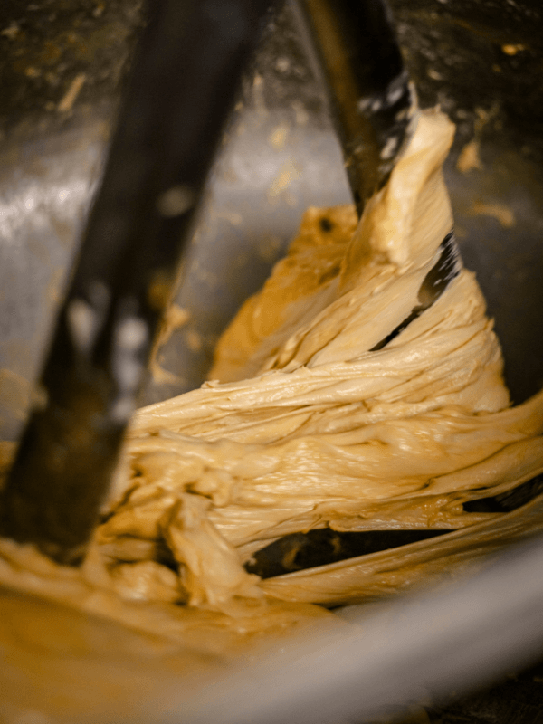Lievito madre naturale della Pasticceria Alba a Viterbo, custodito da oltre 70 anni e utilizzato per realizzare grandi lievitati artigianali secondo la tradizione di famiglia.